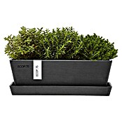 Ecopots Bruges Pflanzkasten Mini mit Untersetzer (Außenmaß (L x B x H): 25 x 9 x 8,4 cm, Kunststoff, Dunkelgrau) | BAUHAUS