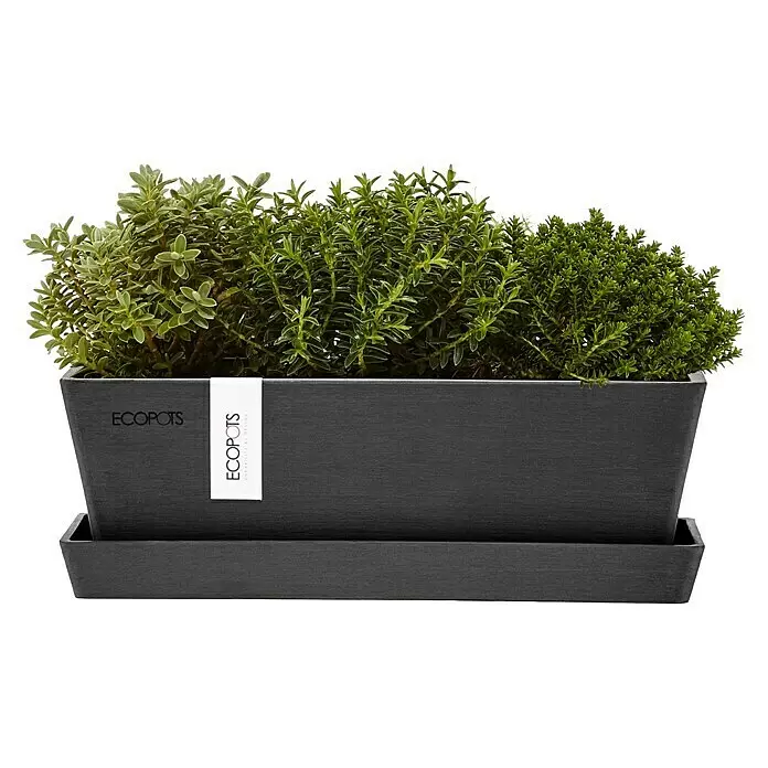 Ecopots Bruges Pflanzkasten Mini mit Untersetzer - Außenmaß (L x B x H): 25 x 8,7 x 8,5 cm, Kunststoff, Dunkelgrau - Dunkelgrauer rechteckiger ECOPOTS Pflanzkübel mit Untersatz, gefüllt mit grünen Pflanzen.