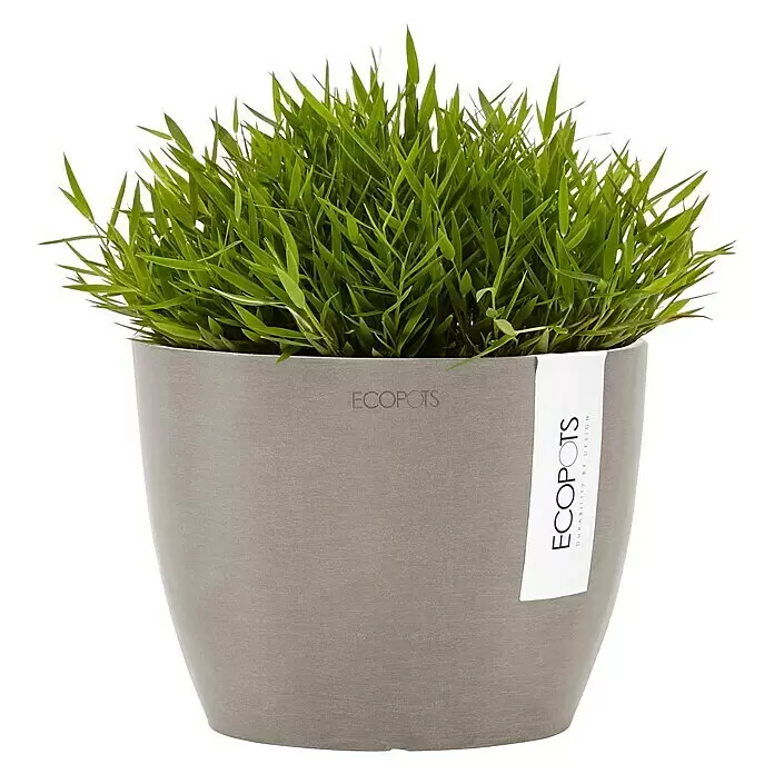 Ecopots Pflanztopf Stockholm - Außenmaß (Ø x H): 16,2 x 12 cm, Kunststoff, Braungrau - Grauer ECOPOTS Pflanztopf mit einer üppigen, grasartigen Grünpflanze.