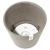 Ecopots Amsterdam Pflanzkübel rund (Außenmaß (Ø x H): 40 x 34,8 cm, Kunststoff, Braungrau, Mit Bewässerungssystem) | BAUHAUS