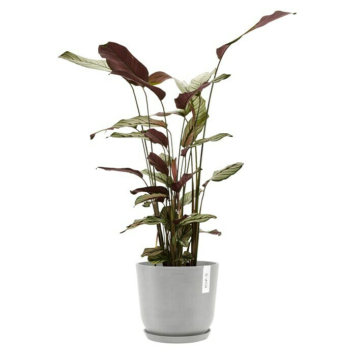 Ecopots Oslo Pflanztopf mit Wasserspeicher (Außenmaß (Ø x H): 25 x 21,4 cm, Kunststoff, Weißgrau) | BAUHAUS