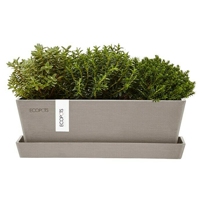 Ecopots Bruges Pflanzkasten Mini mit Untersetzer (Außenmaß (L x B x H): 25 x 9 x 8,4 cm, Kunststoff, Braungrau) | BAUHAUS