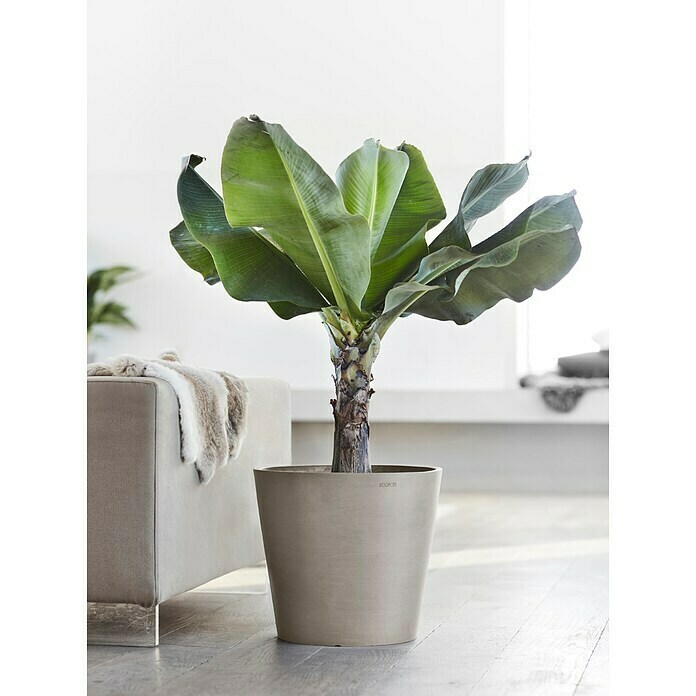 Ecopots Amsterdam Pflanzkübel rund (Außenmaß (Ø x H): 40 x 34,8 cm, Kunststoff, Braungrau, Mit Bewässerungssystem) | BAUHAUS