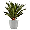Ecopots Oslo Pflanztopf mit Wasserspeicher (Außenmaß (Ø x H): 25 x 21,4 cm, Kunststoff, Weißgrau) | BAUHAUS