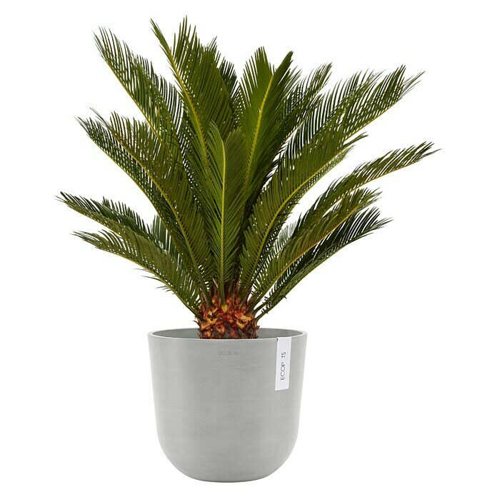 Ecopots Oslo Pflanztopf mit Wasserspeicher (Außenmaß (Ø x H): 25 x 21,4 cm, Kunststoff, Weißgrau) | BAUHAUS
