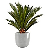 Ecopots Oslo Pflanztopf mit Wasserspeicher (Außenmaß (Ø x H): 25 x 21,4 cm, Kunststoff, Weißgrau) | BAUHAUS
