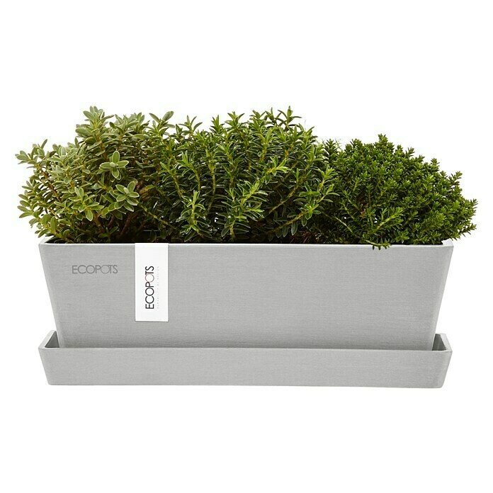 Ecopots Bruges Pflanzkasten Mini mit Untersetzer (Außenmaß (L x B x H): 25 x 9 x 8,4 cm, Kunststoff, Weiß Grau) | BAUHAUS