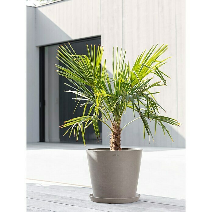 Ecopots Amsterdam Pflanzkübel rund (Außenmaß (Ø x H): 40 x 34,8 cm, Kunststoff, Braungrau, Mit Bewässerungssystem) | BAUHAUS