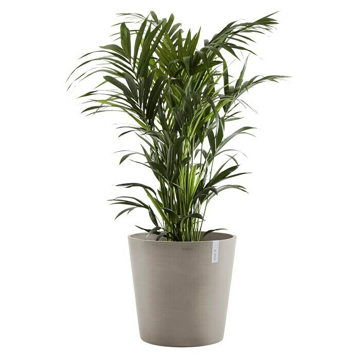 Ecopots Amsterdam Pflanzkübel rund (Außenmaß (Ø x H): 50 x 44,3 cm, Kunststoff, Braungrau, Mit Bewässerungssystem) | BAUHAUS