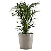 Ecopots Amsterdam Pflanzkübel rund (Außenmaß (Ø x H): 50 x 44,3 cm, Kunststoff, Braungrau, Mit Bewässerungssystem) | BAUHAUS