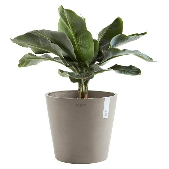 Ecopots Amsterdam Pflanzkübel rund (Außenmaß (Ø x H): 30 x 25,9 cm, Kunststoff, Braungrau, Mit Bewässerungssystem) | BAUHAUS