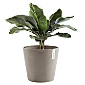 Ecopots Amsterdam Pflanzkübel rund (Außenmaß (Ø x H): 30 x 25,9 cm, Kunststoff, Braungrau, Mit Bewässerungssystem) | BAUHAUS