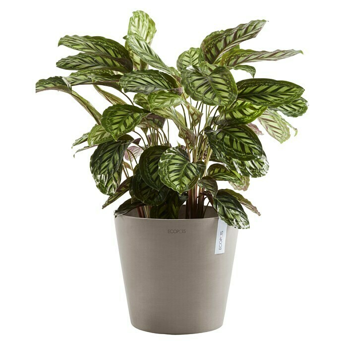 Ecopots Amsterdam Pflanzkübel rund (Außenmaß (Ø x H): 40 x 34,8 cm, Kunststoff, Braungrau, Mit Bewässerungssystem) | BAUHAUS