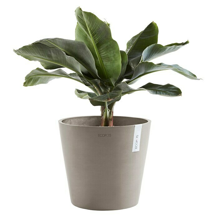 Ecopots Amsterdam Pflanzkübel rund (Außenmaß (Ø x H): 40 x 34,8 cm, Kunststoff, Braungrau, Mit Bewässerungssystem) | BAUHAUS