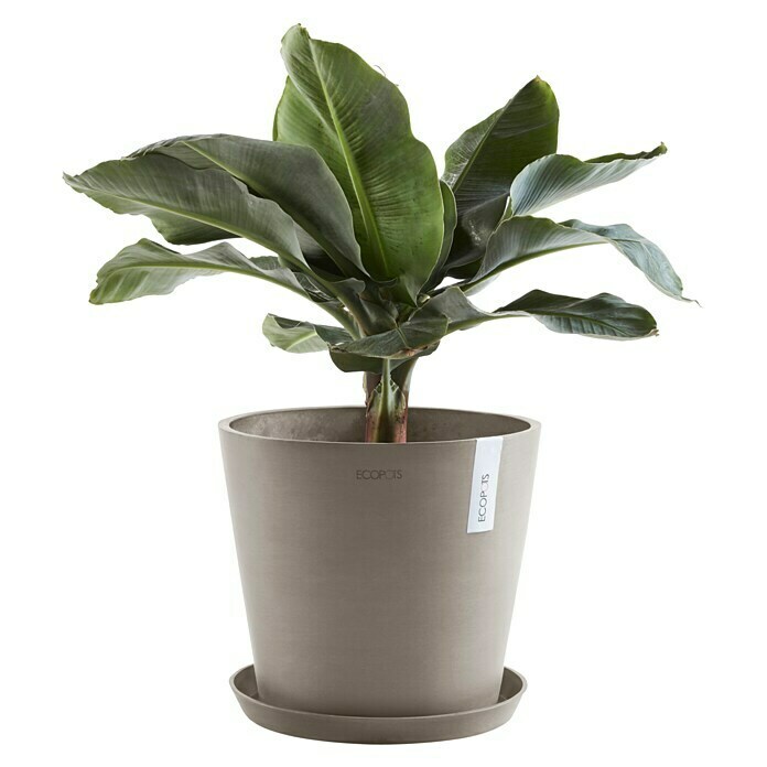 Ecopots Amsterdam Pflanzkübel rund (Außenmaß (Ø x H): 30 x 25,9 cm, Kunststoff, Braungrau, Mit Bewässerungssystem) | BAUHAUS