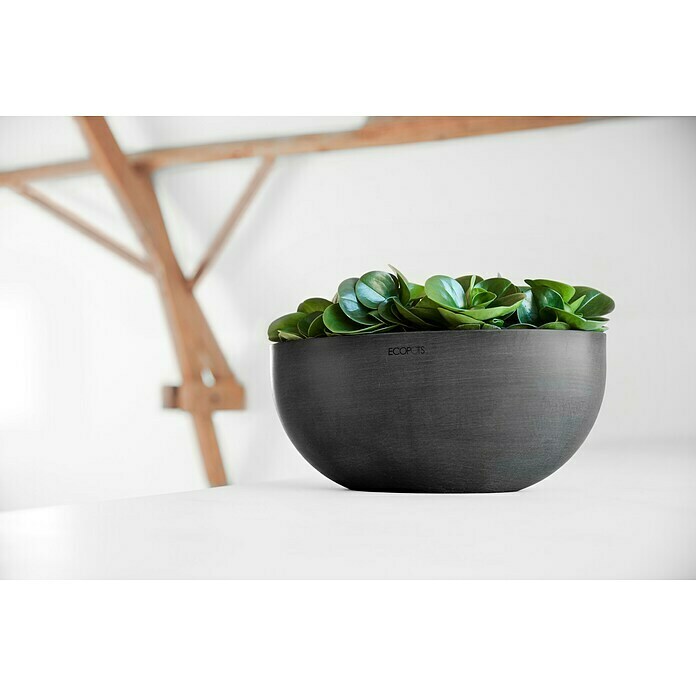 Ecopots Sofia Pflanzschale Groß (L x B x H: 43 x 25 x 17,5 cm, Dunkelgrau) | BAUHAUS