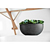 Ecopots Sofia Pflanzschale Groß (L x B x H: 43 x 25 x 17,5 cm, Dunkelgrau) | BAUHAUS