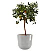 Ecopots Oslo Pflanztopf mit Wasserspeicher (Außenmaß (Ø x H): 25 x 21,4 cm, Kunststoff, Weißgrau) | BAUHAUS