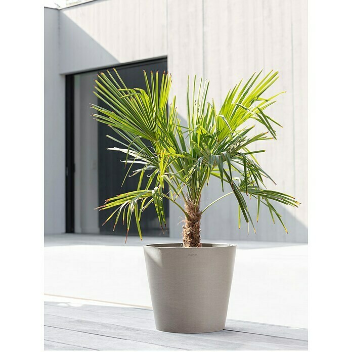 Ecopots Amsterdam Pflanzkübel rund (Außenmaß (Ø x H): 40 x 34,8 cm, Kunststoff, Braungrau, Mit Bewässerungssystem) | BAUHAUS