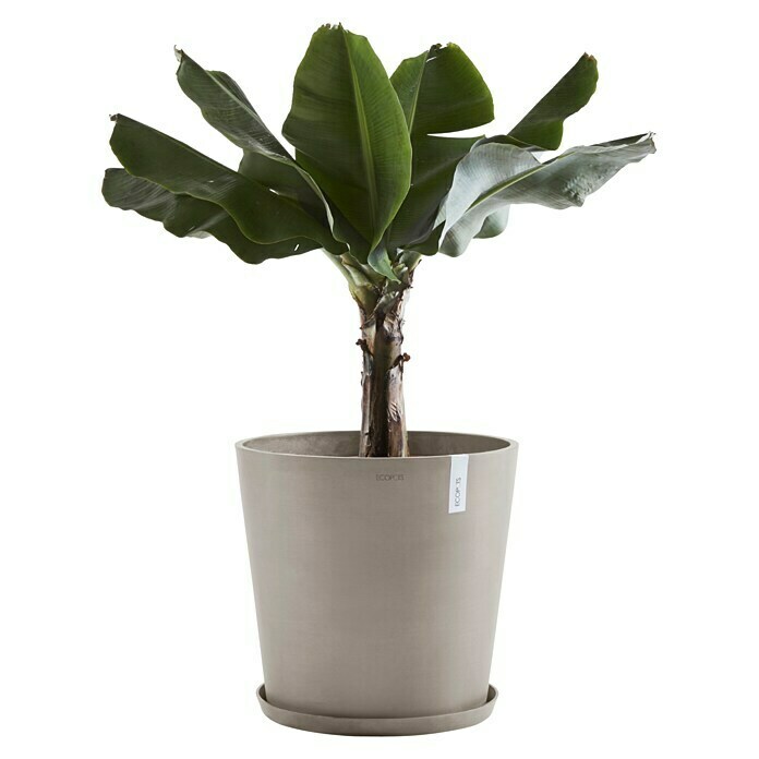 Ecopots Amsterdam Pflanzkübel rund (Außenmaß (Ø x H): 50 x 44,3 cm, Kunststoff, Braungrau, Mit Bewässerungssystem) | BAUHAUS