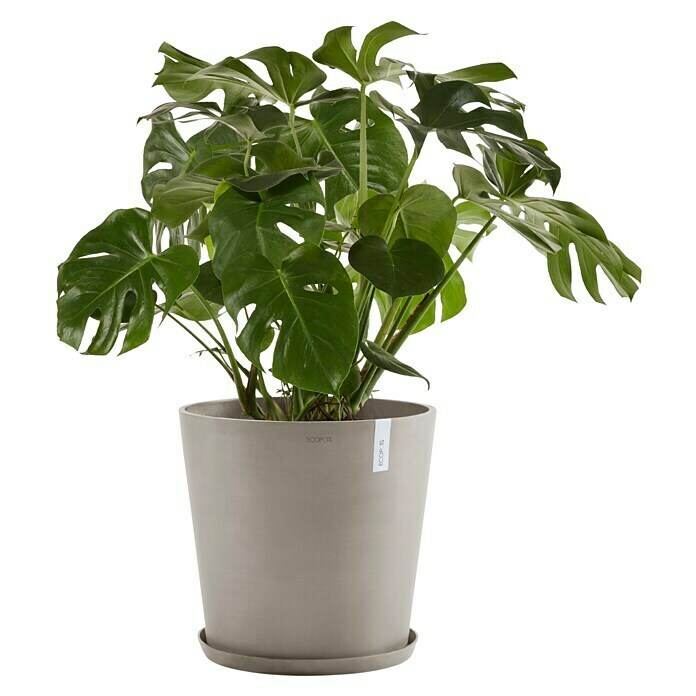 Ecopots Amsterdam Pflanzkübel rund (Außenmaß (Ø x H): 50 x 44,3 cm, Kunststoff, Braungrau, Mit Bewässerungssystem) | BAUHAUS