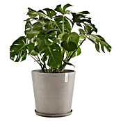 Ecopots Amsterdam Pflanzkübel rund (Außenmaß (Ø x H): 50 x 44,3 cm, Kunststoff, Braungrau, Mit Bewässerungssystem) | BAUHAUS