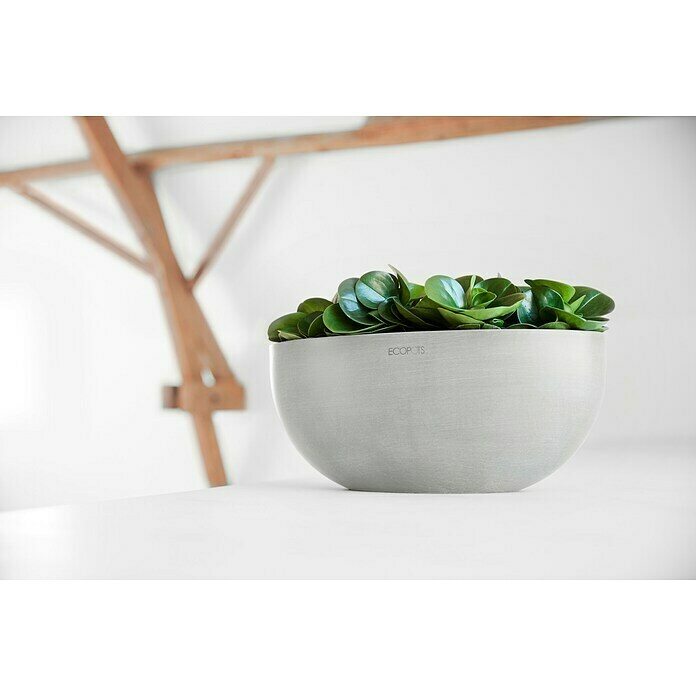 Ecopots Sofia Pflanzschale Groß (L x B x H: 43 x 25 x 17,5 cm, Weißgrau) | BAUHAUS