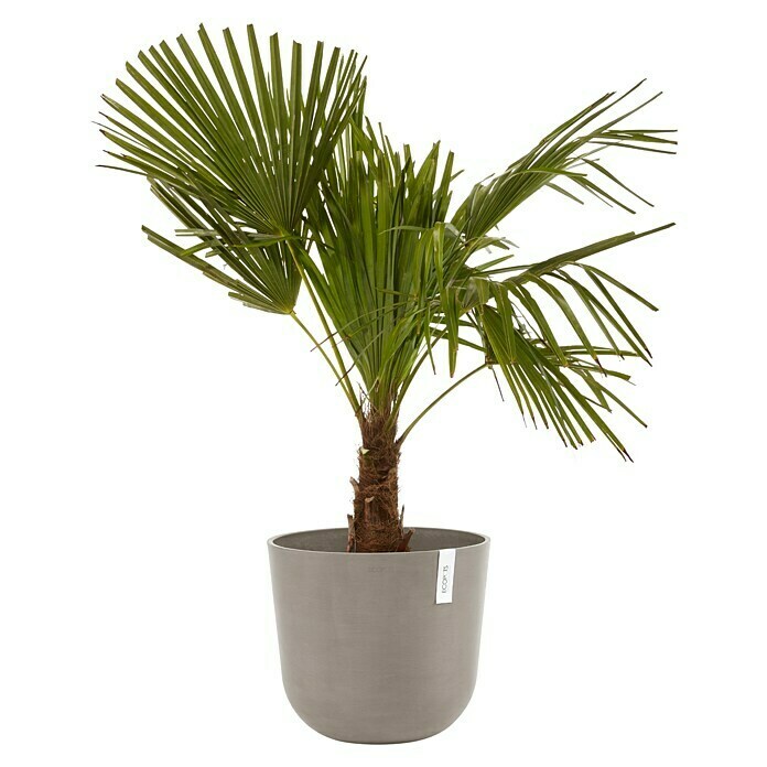 Ecopots Oslo Pflanztopf mit Wasserspeicher (Außenmaß (Ø x H): 35 x 40,5 cm, Kunststoff, Braungrau) | BAUHAUS
