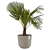 Ecopots Oslo Pflanztopf mit Wasserspeicher (Außenmaß (Ø x H): 35 x 40,5 cm, Kunststoff, Braungrau) | BAUHAUS