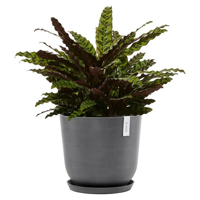 Ecopots Oslo Pflanztopf mit Wasserspeicher (Außenmaß (Ø x H): 45 x 39,4 cm, Kunststoff, Grau) | BAUHAUS