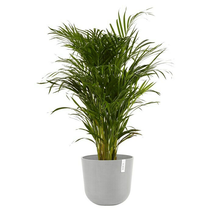 Ecopots Oslo Pflanztopf mit Wasserspeicher (Außenmaß (Ø x H): 35 x 40,5 cm, Kunststoff, Weißgrau) | BAUHAUS