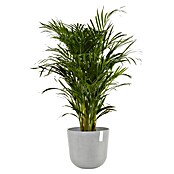 Ecopots Oslo Pflanztopf mit Wasserspeicher (Außenmaß (Ø x H): 35 x 40,5 cm, Kunststoff, Weißgrau) | BAUHAUS