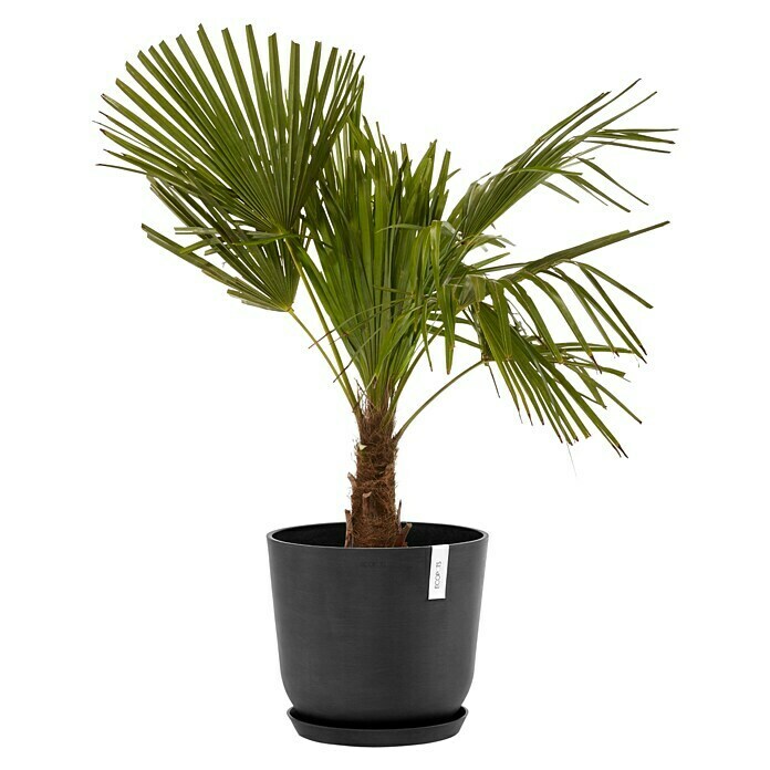 Ecopots Oslo Pflanztopf mit Wasserspeicher (Außenmaß (Ø x H): 35 x 40,5 cm, Kunststoff, Dunkelgrau) | BAUHAUS