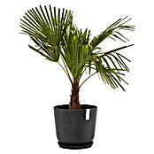 Ecopots Oslo Pflanztopf mit Wasserspeicher (Außenmaß (Ø x H): 35 x 40,5 cm, Kunststoff, Dunkelgrau) | BAUHAUS