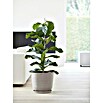 Ecopots Oslo Pflanztopf mit Wasserspeicher (Außenmaß (Ø x H): 35 x 40,5 cm, Kunststoff, Braungrau) | BAUHAUS