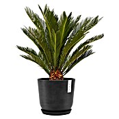 Ecopots Oslo Pflanztopf mit Wasserspeicher (Außenmaß (Ø x H): 25 x 21,8 cm, Kunststoff, Dunkelgrau) | BAUHAUS