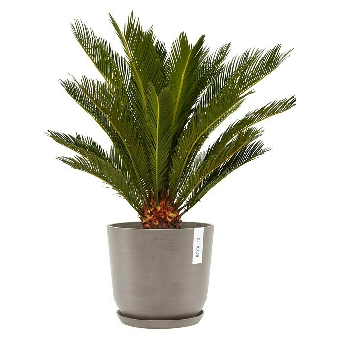 Ecopots Oslo Pflanztopf mit Wasserspeicher (Außenmaß (Ø x H): 25 x 21,4 cm, Kunststoff, Braungrau) | BAUHAUS