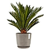 Ecopots Oslo Pflanztopf mit Wasserspeicher (Außenmaß (Ø x H): 25 x 21,4 cm, Kunststoff, Braungrau) | BAUHAUS