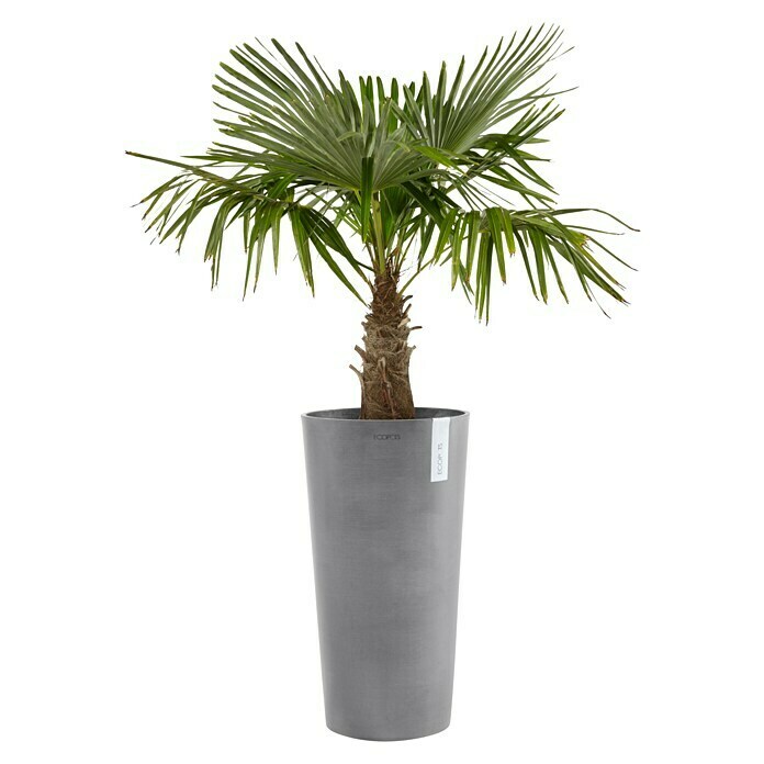 Ecopots Amsterdam Pflanzsäule rund High (Außenmaß (Ø x H): 49,8 x 91 cm, Kunststoff, Grau) | BAUHAUS