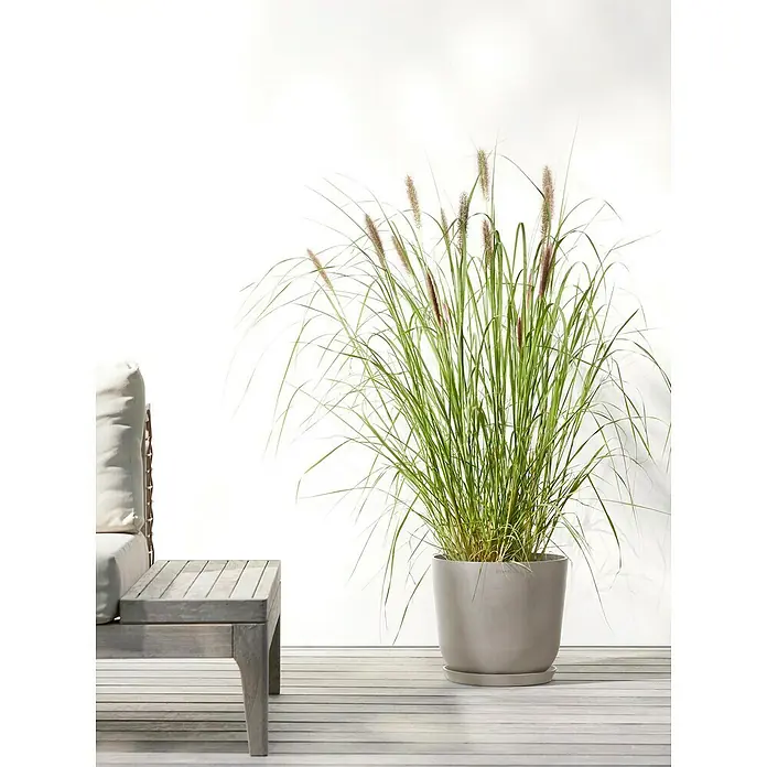 Ecopots Oslo Pflanztopf mit Wasserspeicher - Außenmaß (Ø x H): 25 x 21,4 cm, Kunststoff, Braungrau - Ein großer Ziertopf mit üppigem Ziergras auf einer Terrasse, neben einem grauen Tisch, der eine einladende und moderne Atmosphäre schafft.