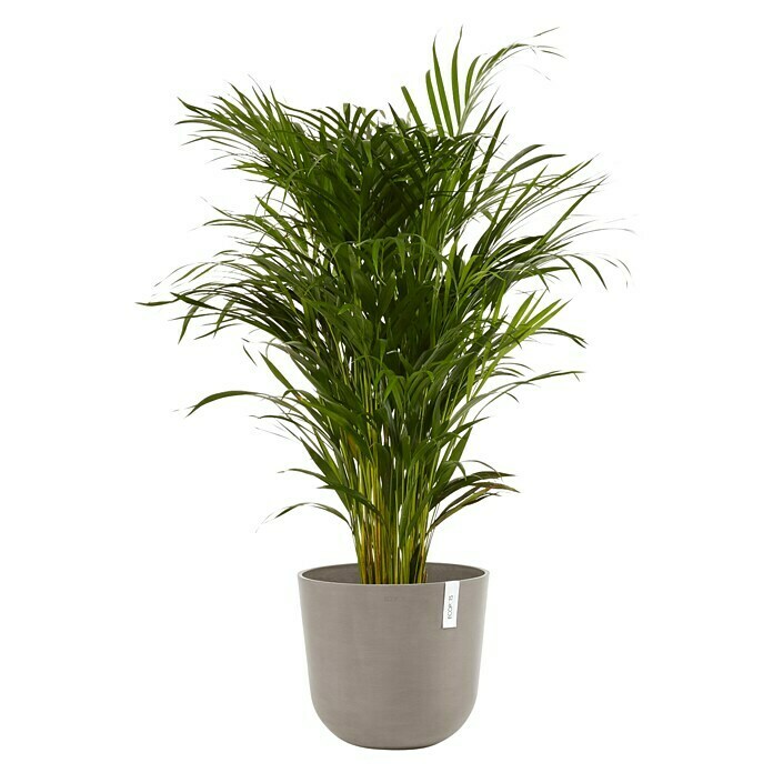 Ecopots Oslo Pflanztopf mit Wasserspeicher (Außenmaß (Ø x H): 35 x 40,5 cm, Kunststoff, Braungrau) | BAUHAUS