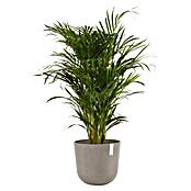 Ecopots Oslo Pflanztopf mit Wasserspeicher (Außenmaß (Ø x H): 35 x 40,5 cm, Kunststoff, Braungrau) | BAUHAUS