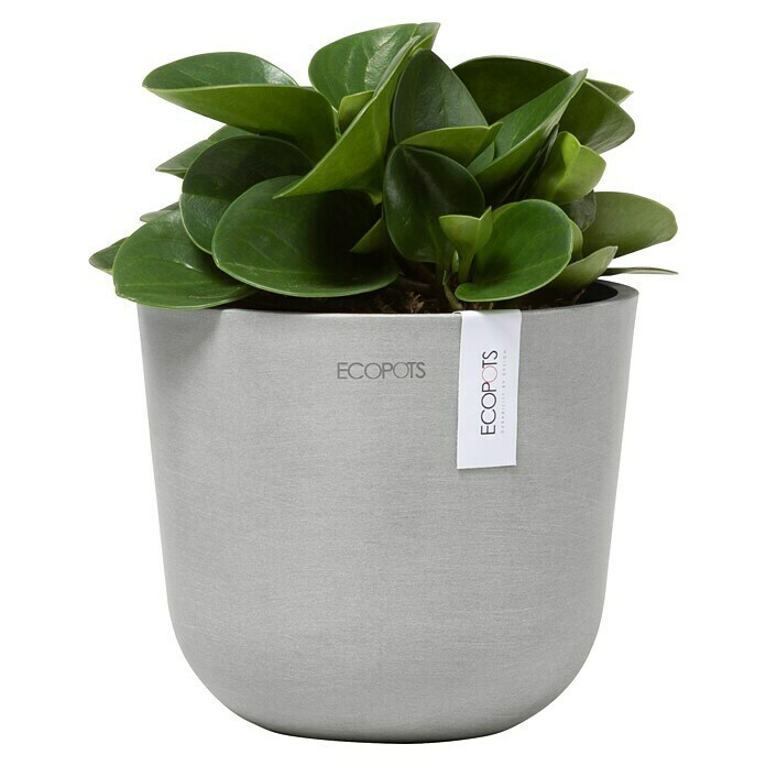 Ecopots Oslo Pflanztopf Mini (Außenmaß (Ø x H): 16 x 14 cm, Kunststoff, Weißgrau) | BAUHAUS