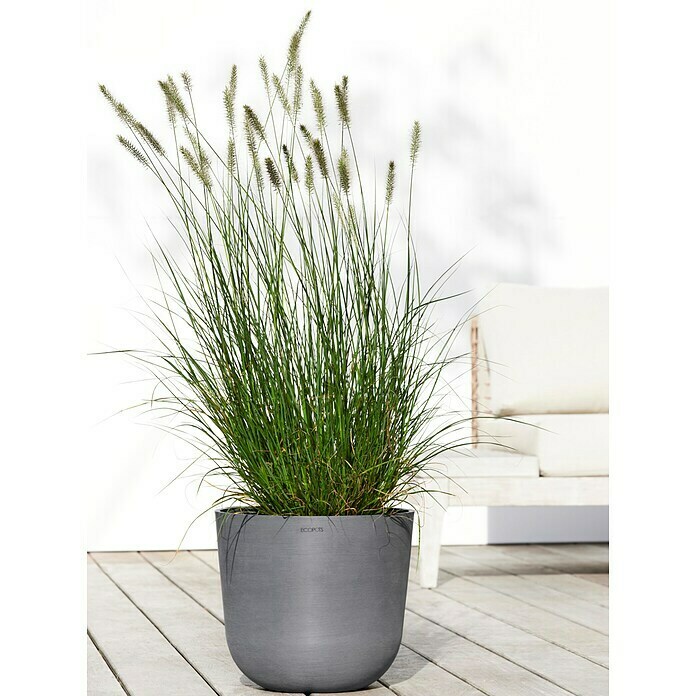 Ecopots Oslo Pflanztopf mit Wasserspeicher (Außenmaß (Ø x H): 35 x 40,5 cm, Kunststoff, Grau) | BAUHAUS