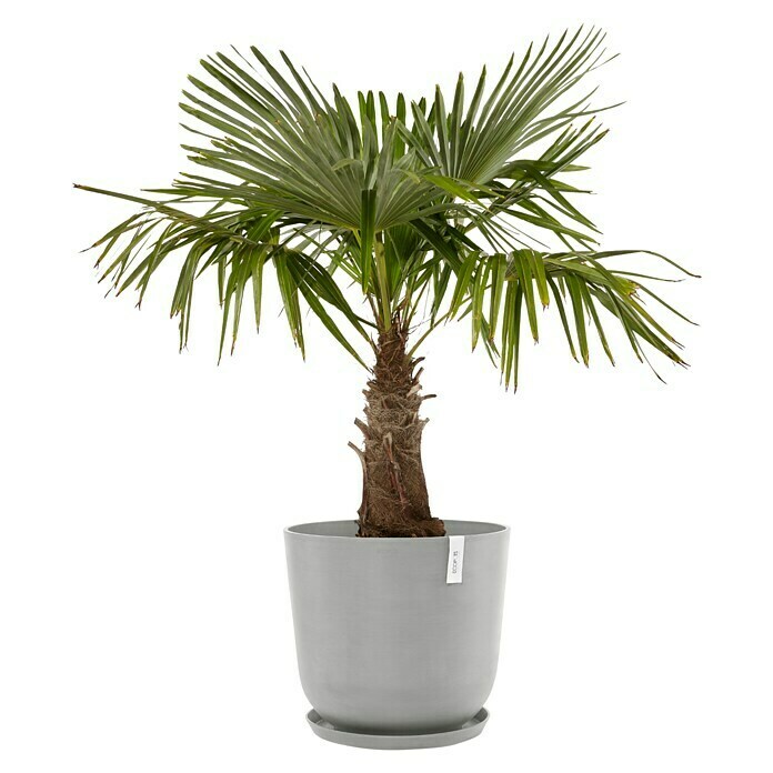 Ecopots Oslo Pflanztopf mit Wasserspeicher (Außenmaß (Ø x H): 55 x 47,9 cm, Kunststoff, Weißgrau) | BAUHAUS