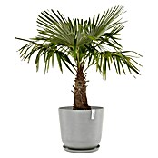 Ecopots Oslo Pflanztopf mit Wasserspeicher (Außenmaß (Ø x H): 55 x 47,9 cm, Kunststoff, Weißgrau) | BAUHAUS