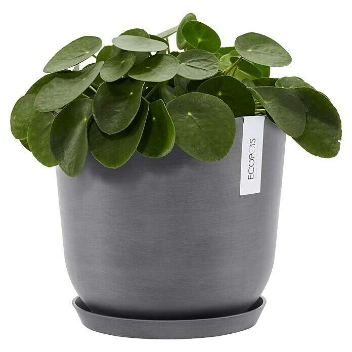 Ecopots Oslo Pflanztopf mit Wasserspeicher (Außenmaß (Ø x H): 25 x 21,4 cm, Kunststoff, Grau) | BAUHAUS