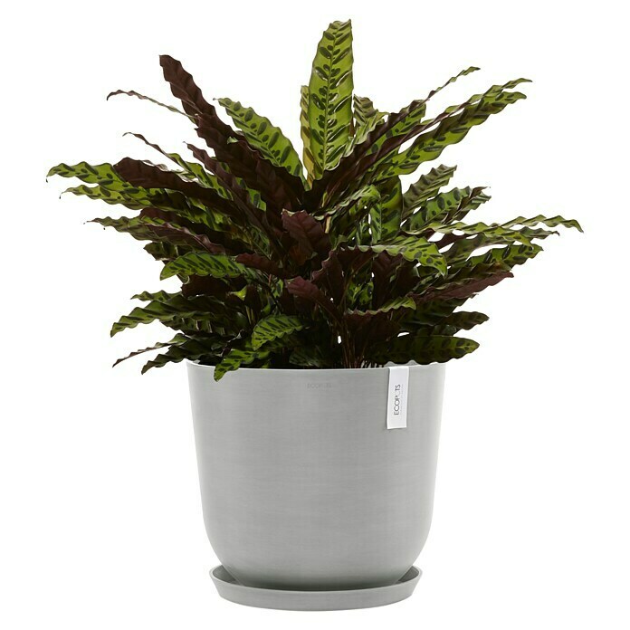 Ecopots Oslo Pflanztopf mit Wasserspeicher (Außenmaß (Ø x H): 45 x 39,4 cm, Kunststoff, Weißgrau) | BAUHAUS