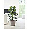 Ecopots Oslo Pflanztopf mit Wasserspeicher (Außenmaß (Ø x H): 35 x 40,5 cm, Kunststoff, Braungrau) | BAUHAUS