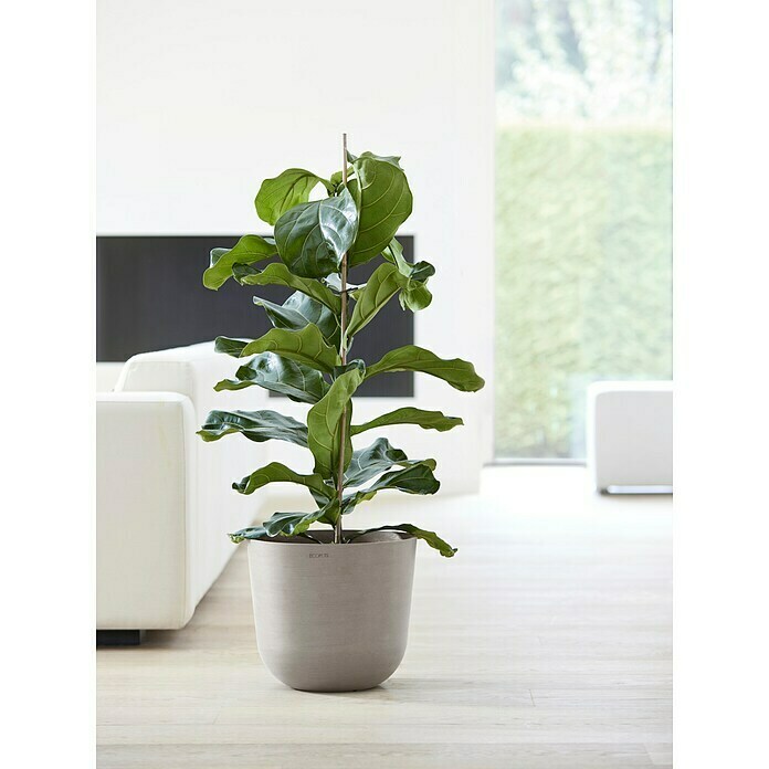 Ecopots Oslo Pflanztopf mit Wasserspeicher (Außenmaß (Ø x H): 35 x 47,9 cm, Kunststoff, Braungrau) | BAUHAUS